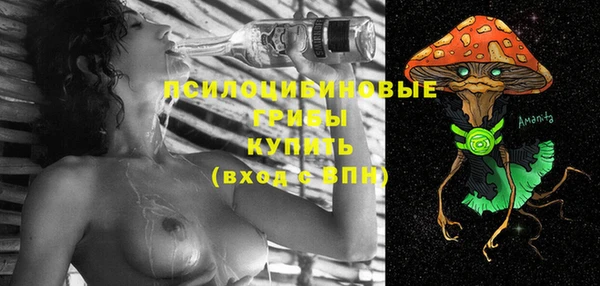 дмт Бронницы