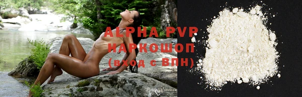 ешки Богданович