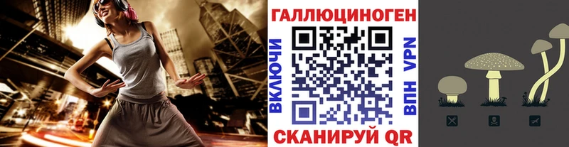 darknet телеграм  Калининград  Псилоцибиновые грибы Psilocybe 